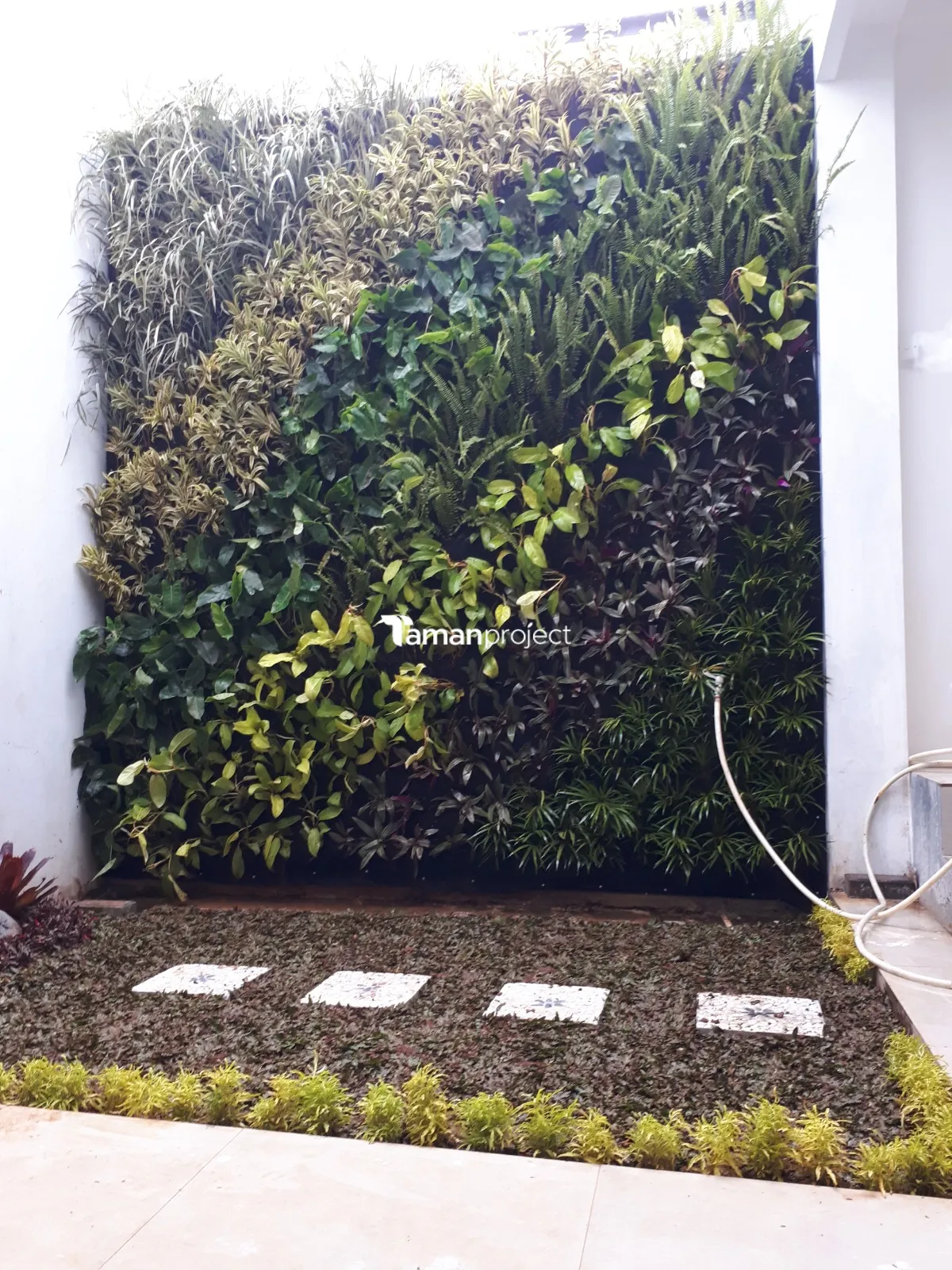 taman vertikal minimalis
